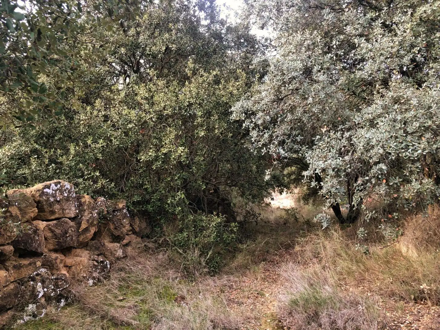 Finca rústica en venda a Calle Mayor F, 4, Ilche Finca rústica en venda en Ilche amb Aire condicionat, Calefacció i Jardí privat