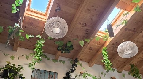 Planta baixa de lloguer a Paseo de Los Pisones, 29, San Agustín - Parque Europa, Burgos Capital - imatge 4 Foto 4 de Planta baixa de lloguer a Paseo de Los Pisones, 29, San Agustín - Parque Europa, Burgos Capital
