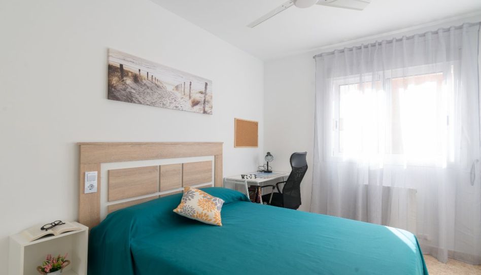 Habitació a Avinguda de Ramon D'olzina, 20, Vila-seca Poble, Vila-seca - imatge 1 Foto 1 de Habitació a Avinguda de Ramon D'olzina, 20, Vila-seca Poble, Vila-seca
