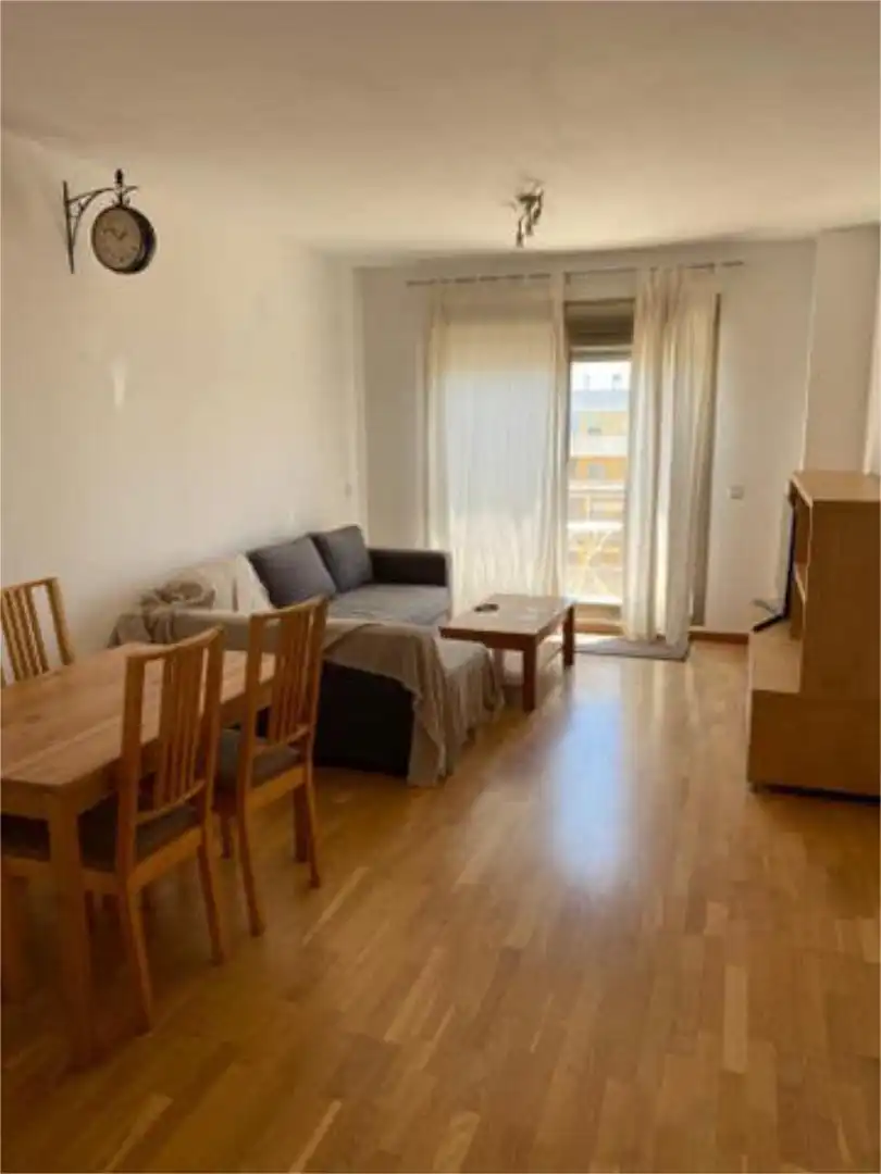 Living room of Flat for rent in Málaga  with Heating, Terrace and Swimming Pool
