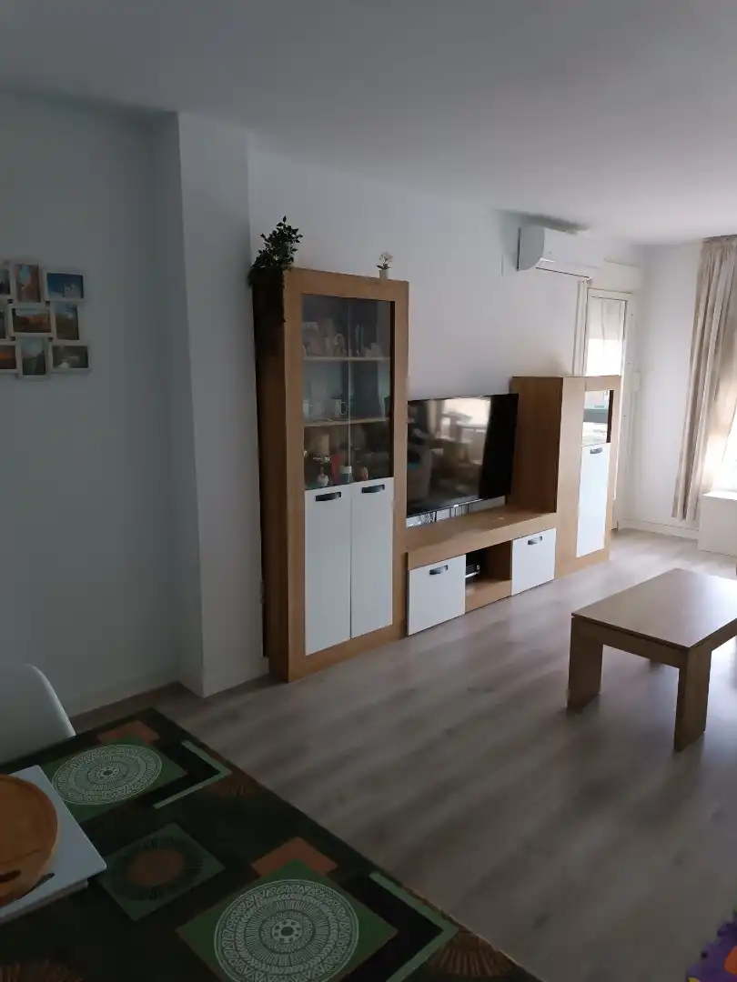 Living room of Flat for sale in Alicante / Alacant  with Air Conditioner, Terrace and Balcony