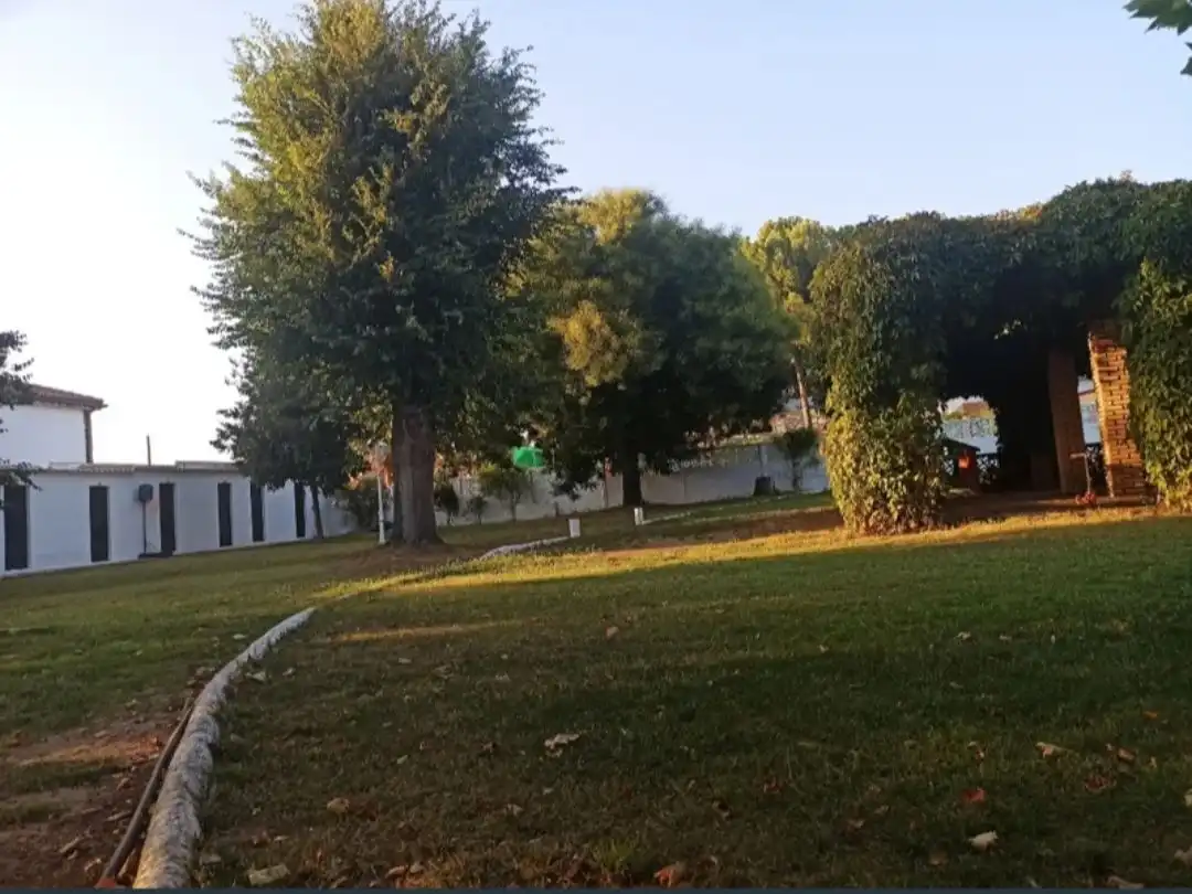 Casa o xalet en venda a Calle el Abedul, 10, Aguilar de la Frontera Casa o xalet en venda en Aguilar de la Frontera amb Jardí privat, Terrassa i Traster