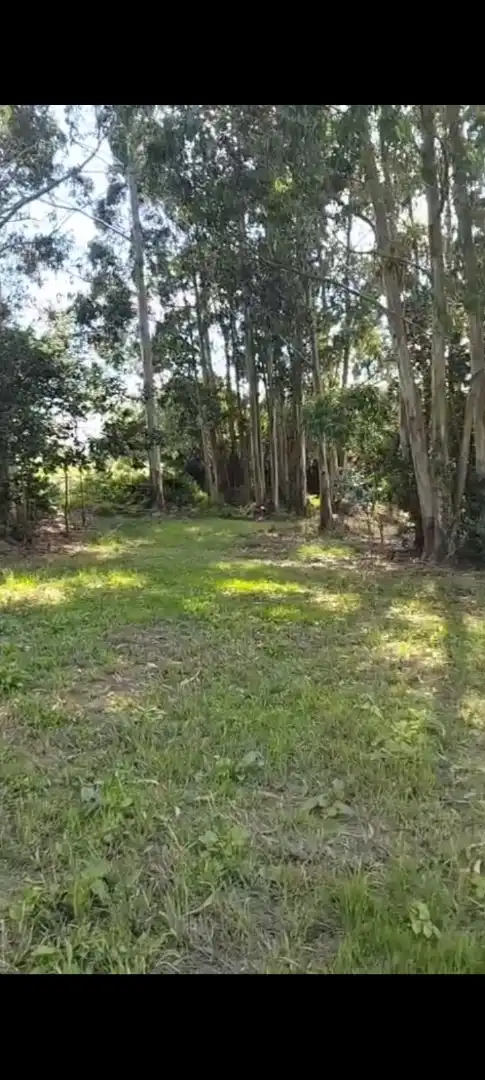 Finca rústica en venda a Barrio Sejo de Abajo, 27, Valdáliga Finca rústica en venda en Valdáliga