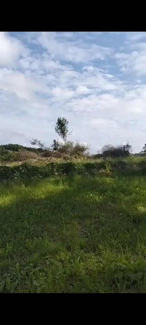 Finca rústica en venda a Barrio Sejo de Abajo, 27, Valdáliga Finca rústica en venda en Valdáliga