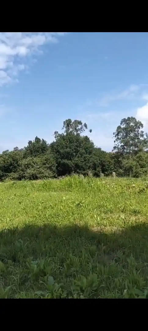 Finca rústica en venda a Barrio Sejo de Abajo, 27, Valdáliga Finca rústica en venda en Valdáliga