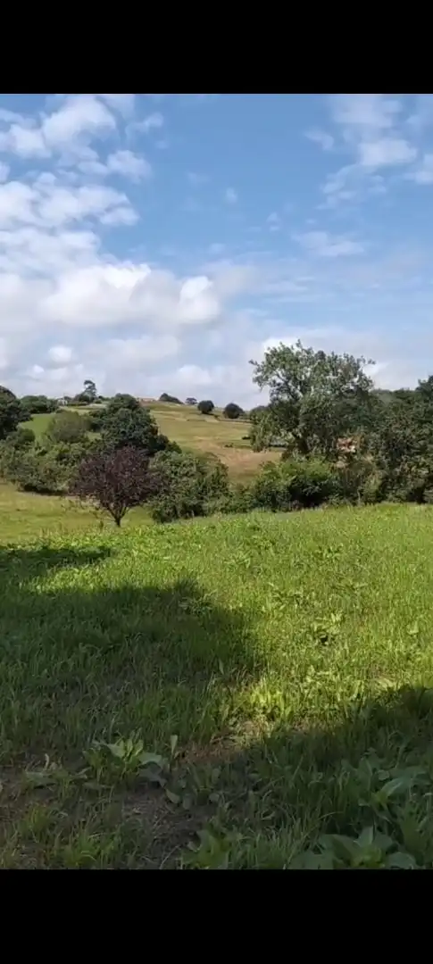 Finca rústica en venda a Barrio Sejo de Abajo, 27, Valdáliga Finca rústica en venda en Valdáliga