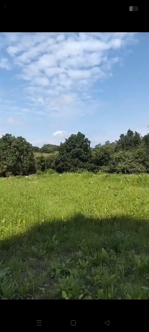 Finca rústica en venda a Barrio Sejo de Abajo, 27, Valdáliga Finca rústica en venda en Valdáliga