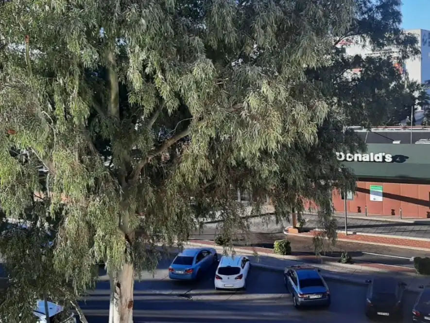 Pis en venda a Calle Julio Cienfuegos Linares, 23, Avenida Elvas Aparcament de Pis en venda en Badajoz amb Aire condicionat, Jardí privat i Traster