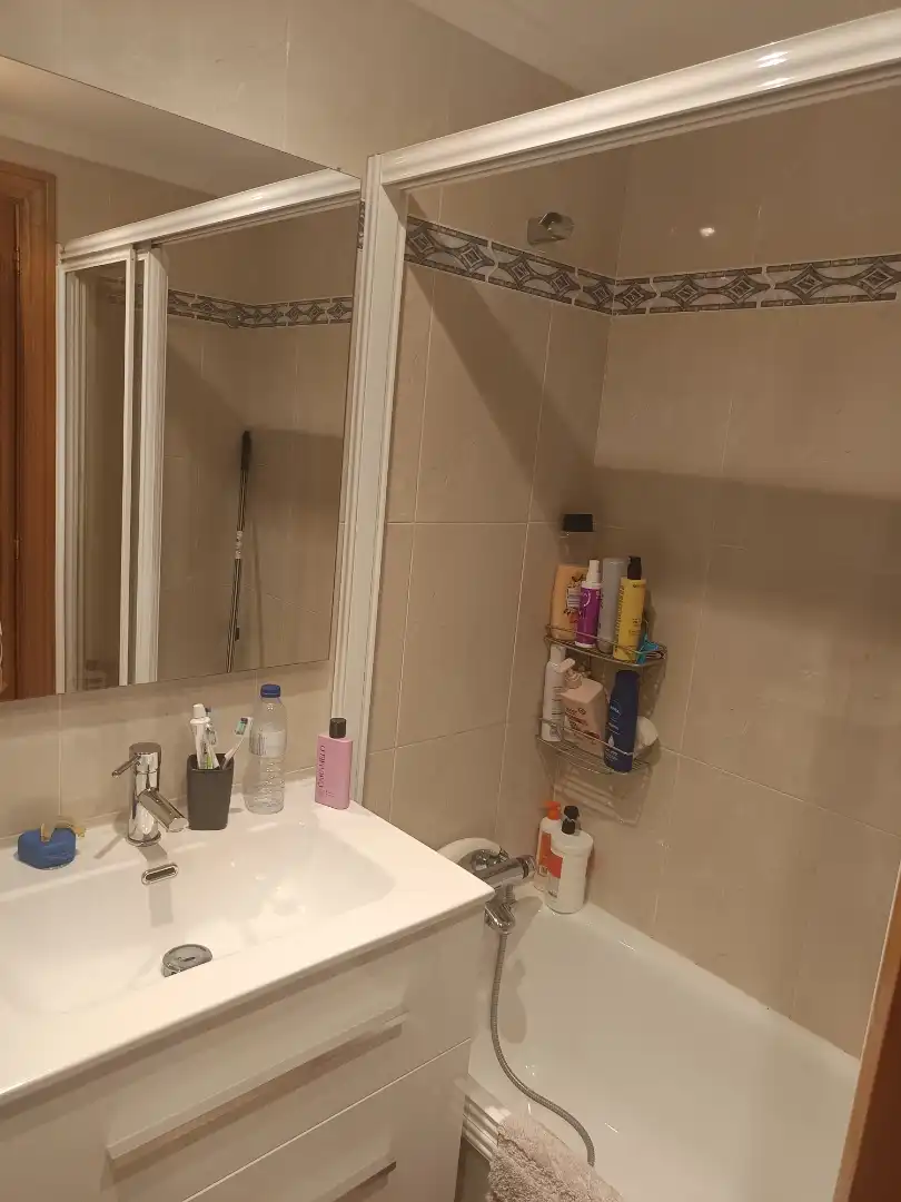 Flat for sale in Calle Heraclio Alfaro, 2, Salburua - Arantzabela Bathroom of Flat for sale in Vitoria - Gasteiz with Heating, Terrace and Storage room