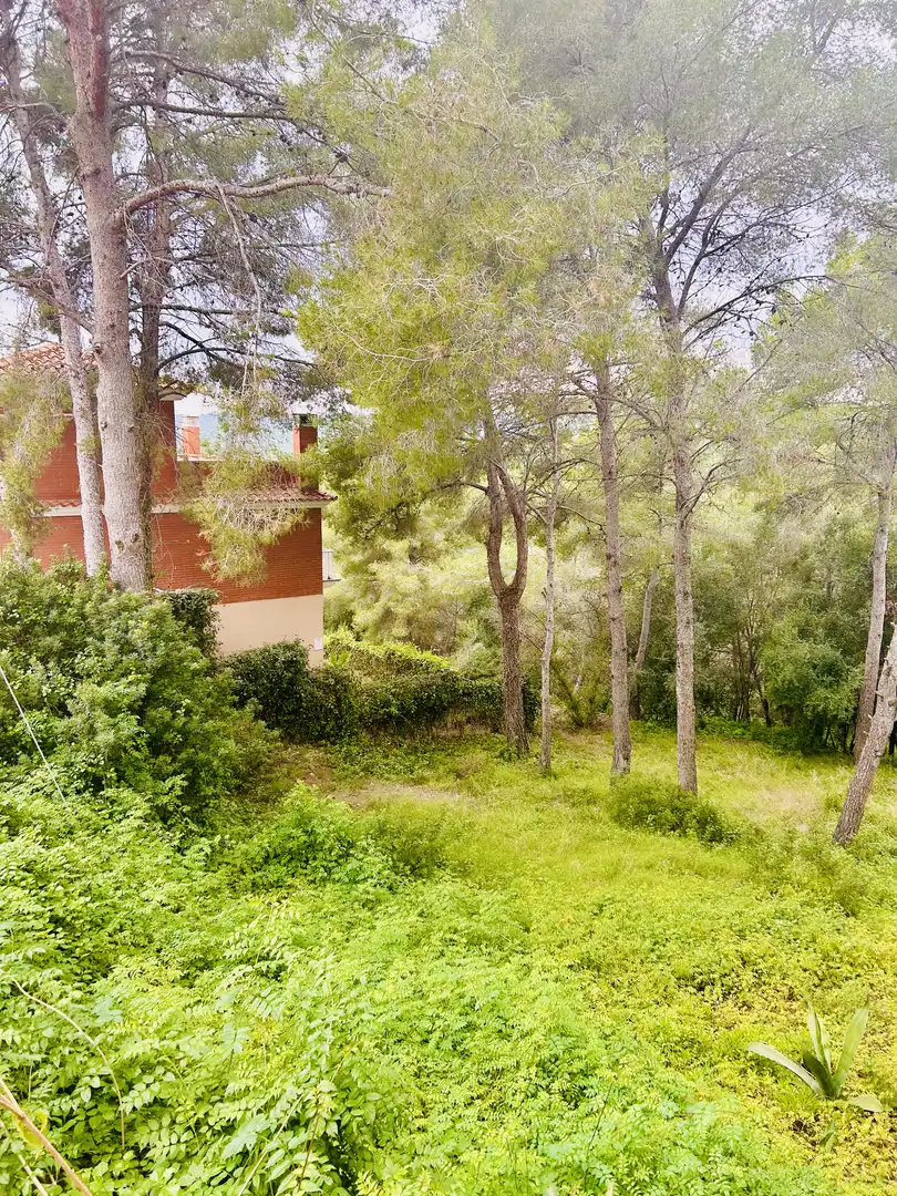 Terreno en venta en Carrer Alta Garrotxa, 14, La Móra Terreno en venta en Tarragona
