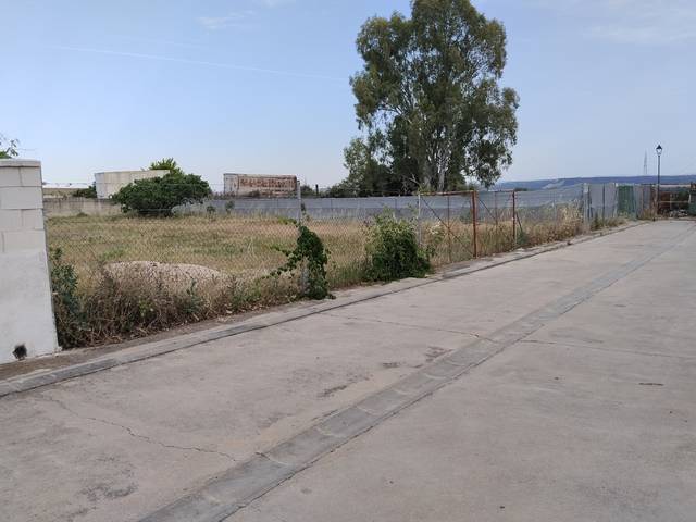 Terreno residencial en Venta en Urbanización Cornicabral, 13 en Pepino