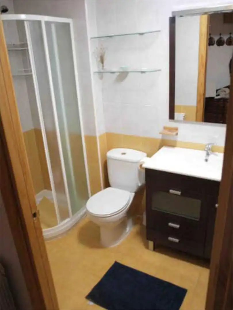 Baño de Apartamento de alquiler en Biescas con Calefacción y Amueblado