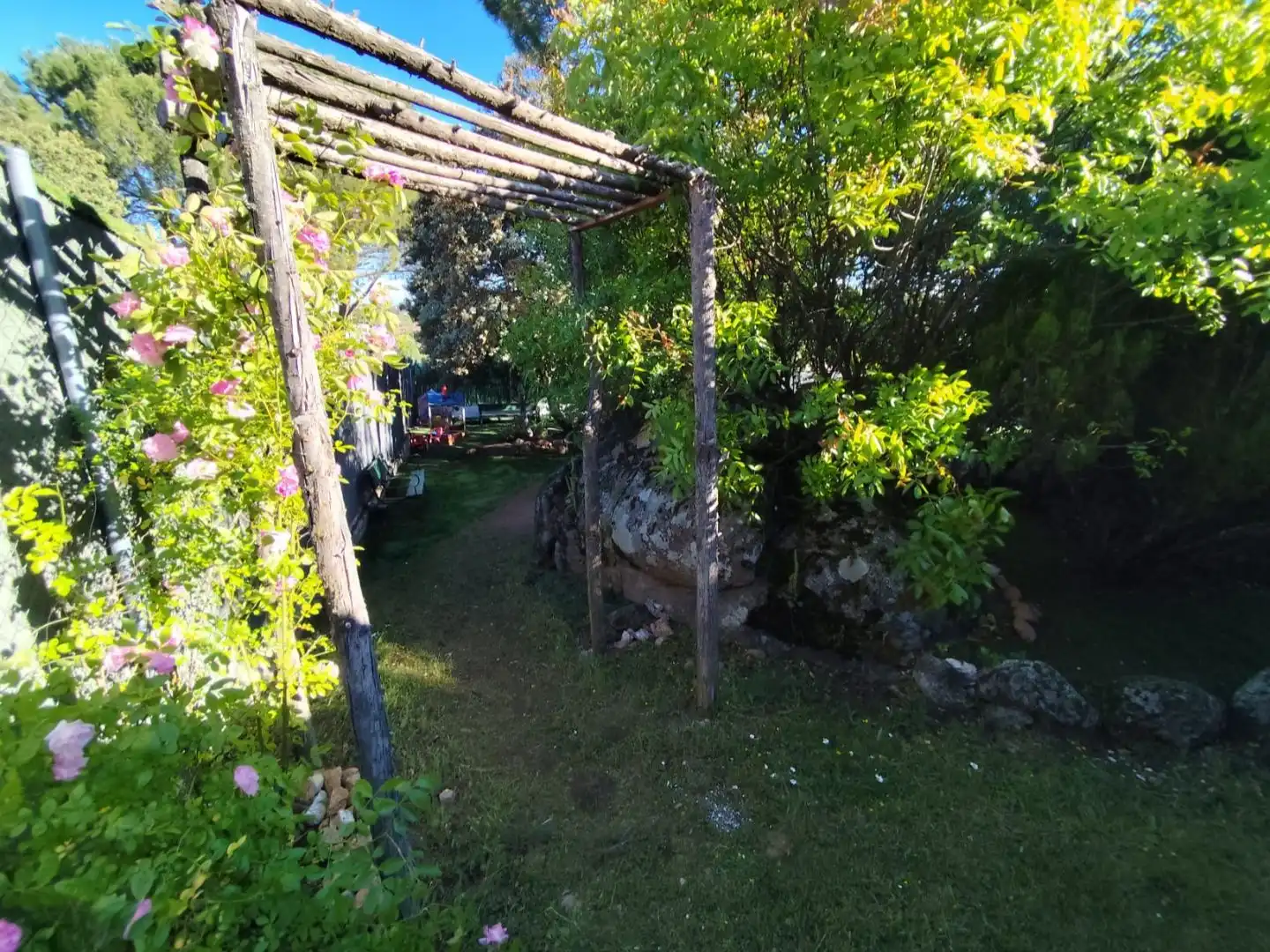 Houses for sale in Cerro Alarcón