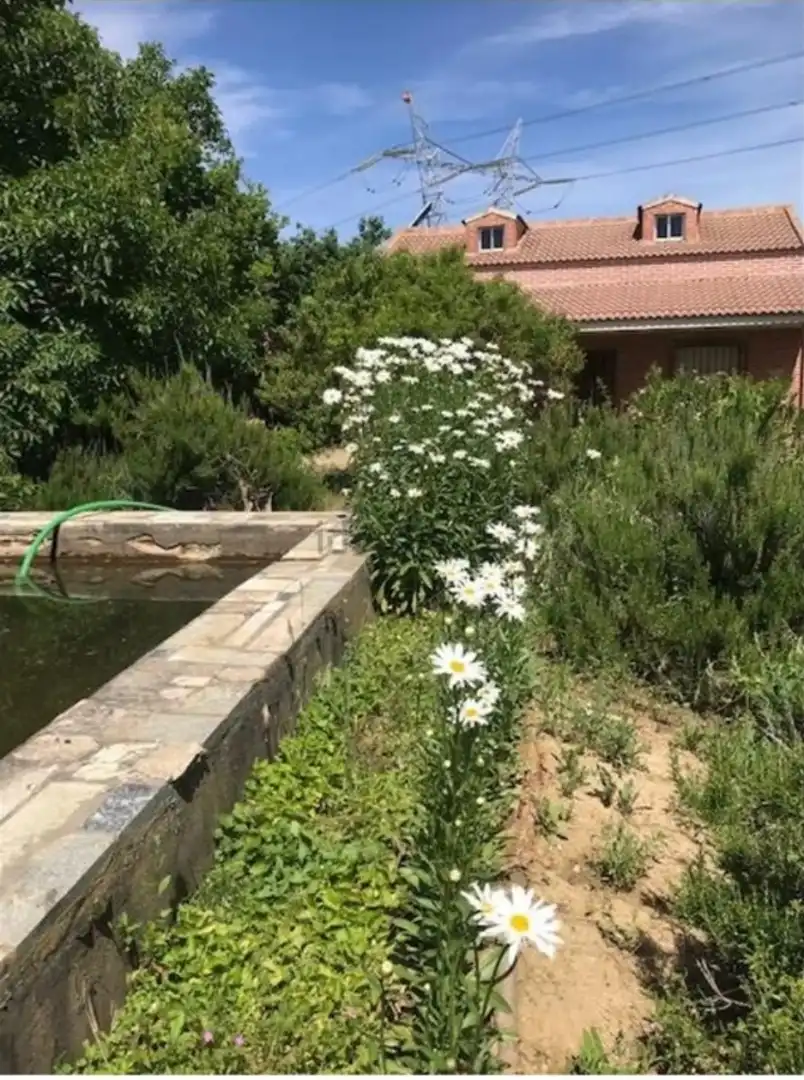 Casa o chalet en venta en Camino Los Hoyos, 54, Palencia Capital Jardín de Casa o chalet en venta en Palencia Capital