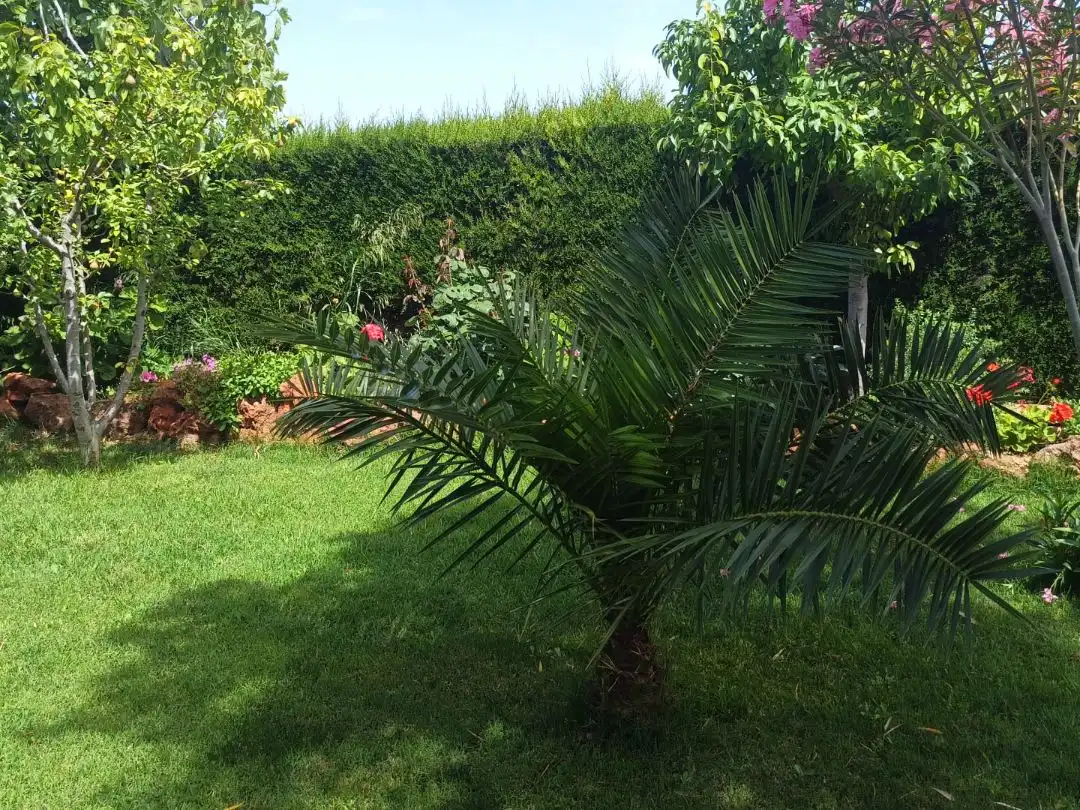 Casa o chalet en venta en Camino de Magacela, 12, Villanueva de la Serena Jardín de Casa o chalet en venta en Villanueva de la Serena con Aire acondicionado, Terraza y Piscina