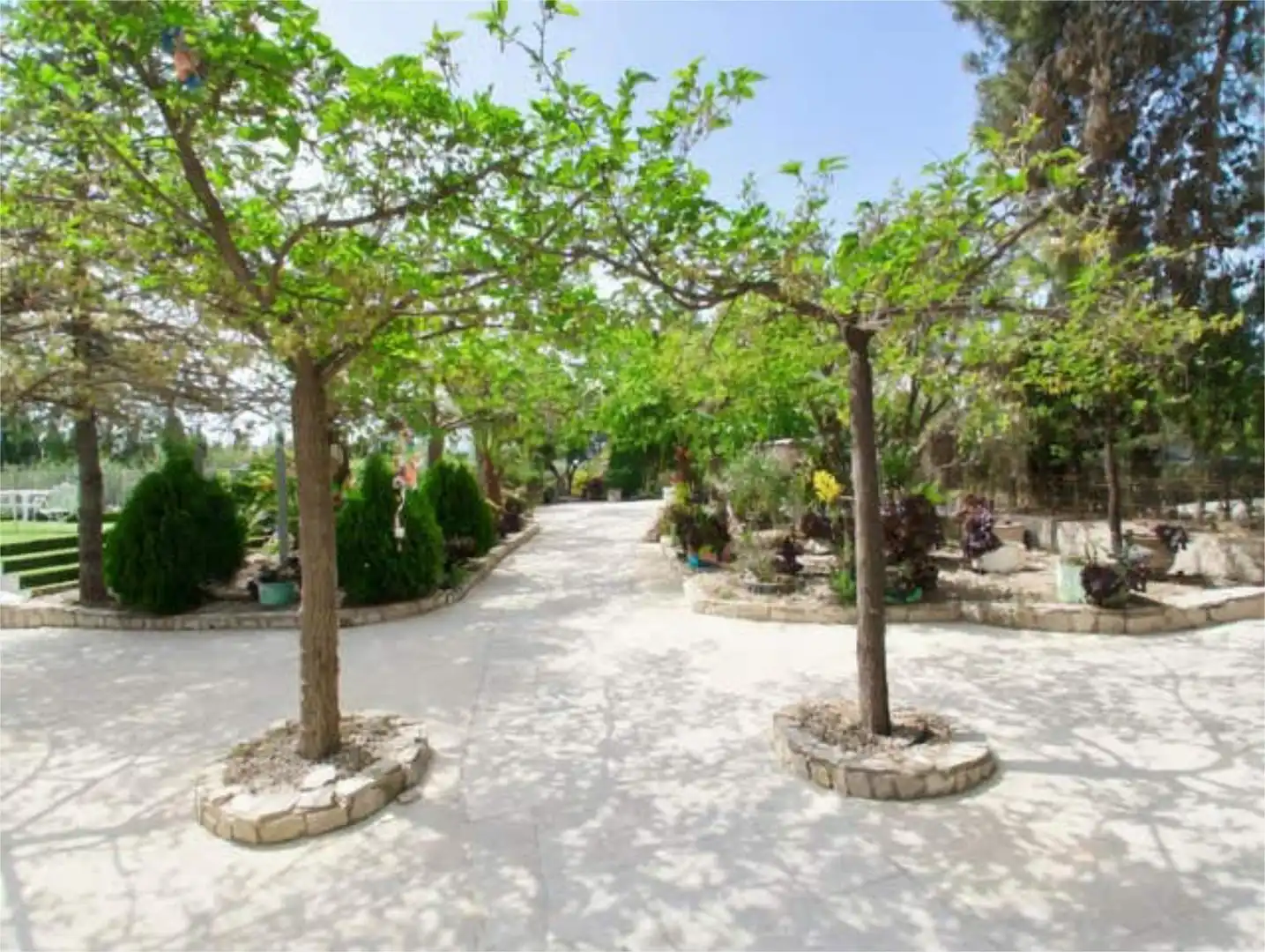 Garten von Haus oder Chalet zur Miete in Alfara de la Baronia mit Privatgarten, Terrasse und Möbliert