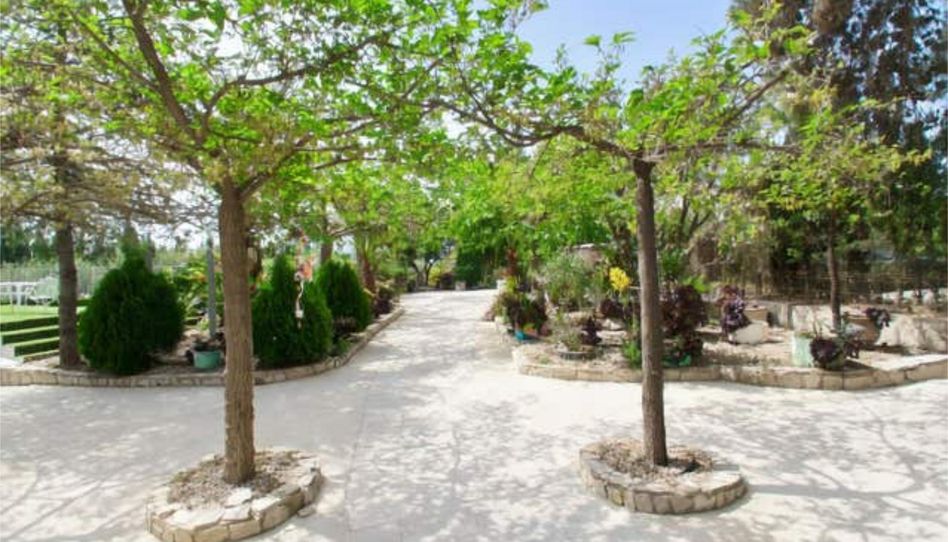 Haus oder Chalet zur Miete in Alfara de la Baronia, Valencia - Bild 1 Foto 1 von Haus oder Chalet zur Miete in Alfara de la Baronia, Valencia