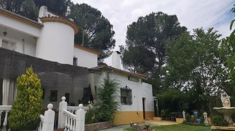 Haus oder Chalet zur Miete in Carretera de Trassierra, 6, Huerta de la Reina - Trassierra, Córdoba Capital - Bild 3 Foto 3 von Haus oder Chalet zur Miete in Carretera de Trassierra, 6, Huerta de la Reina - Trassierra, Córdoba Capital