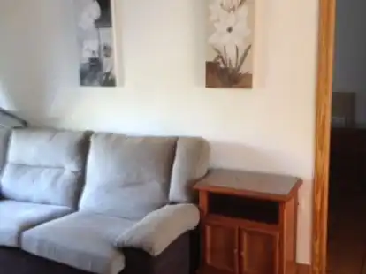 Piso de alquiler en Avenida de Alvar Núñez, 31, El Tardón - El Carmen