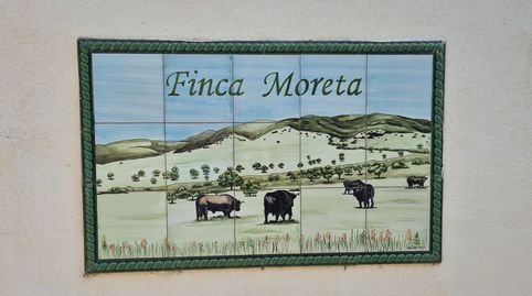 Foto 2 de Finca rústica de alquiler en Carretera Coín, 120, Cortijo de Maza - Finca Monsalvez - El Olivar, Málaga Capital