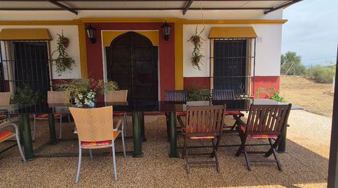 Foto 4 de Finca rústica de alquiler en Carretera Coín, 120, Cortijo de Maza - Finca Monsalvez - El Olivar, Málaga Capital