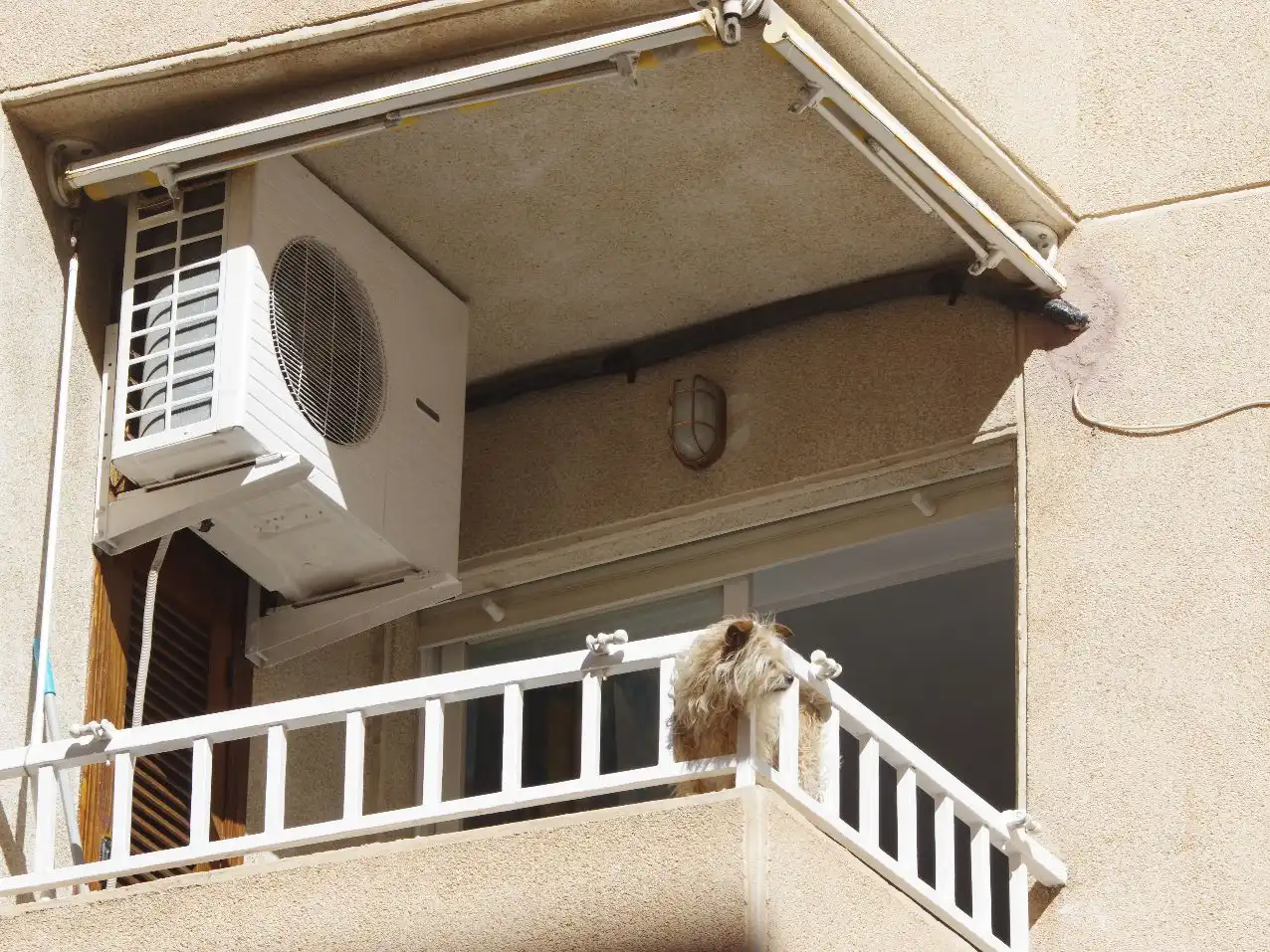 Apartament en venda a Calle Suecia, 7, Zona Playa de los Locos
