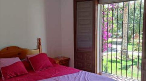 Apartament de lloguer a Centro Internacional, Torrox - imatge 4 Foto 4 de Apartament de lloguer a Centro Internacional, Torrox