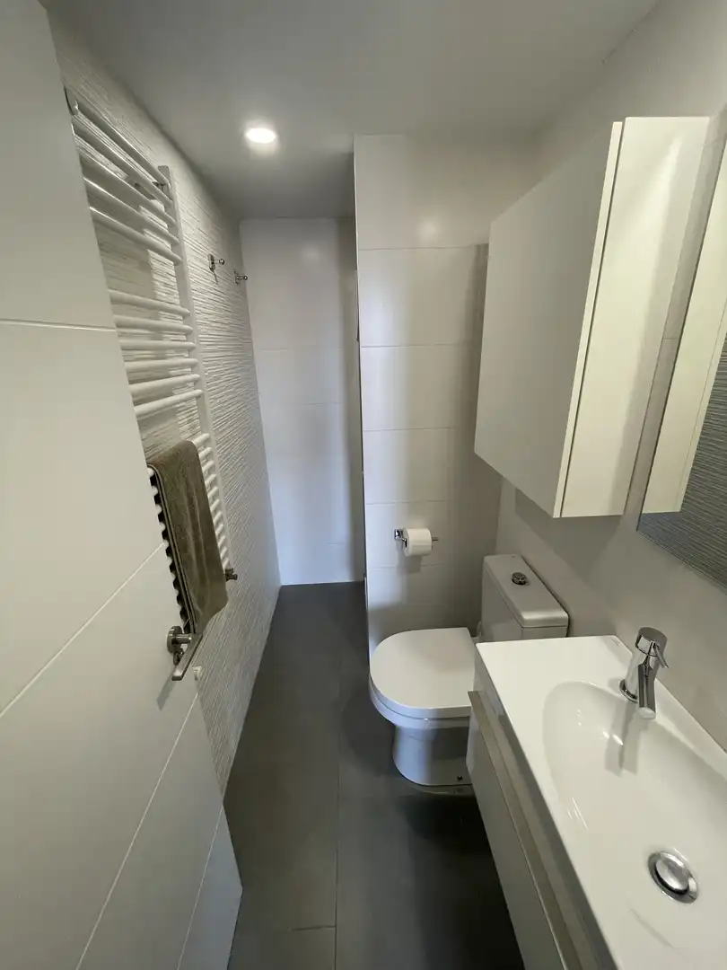 Bany de Àtic de lloguer en Valencia amb Aire condicionat, Calefacció i Parquet