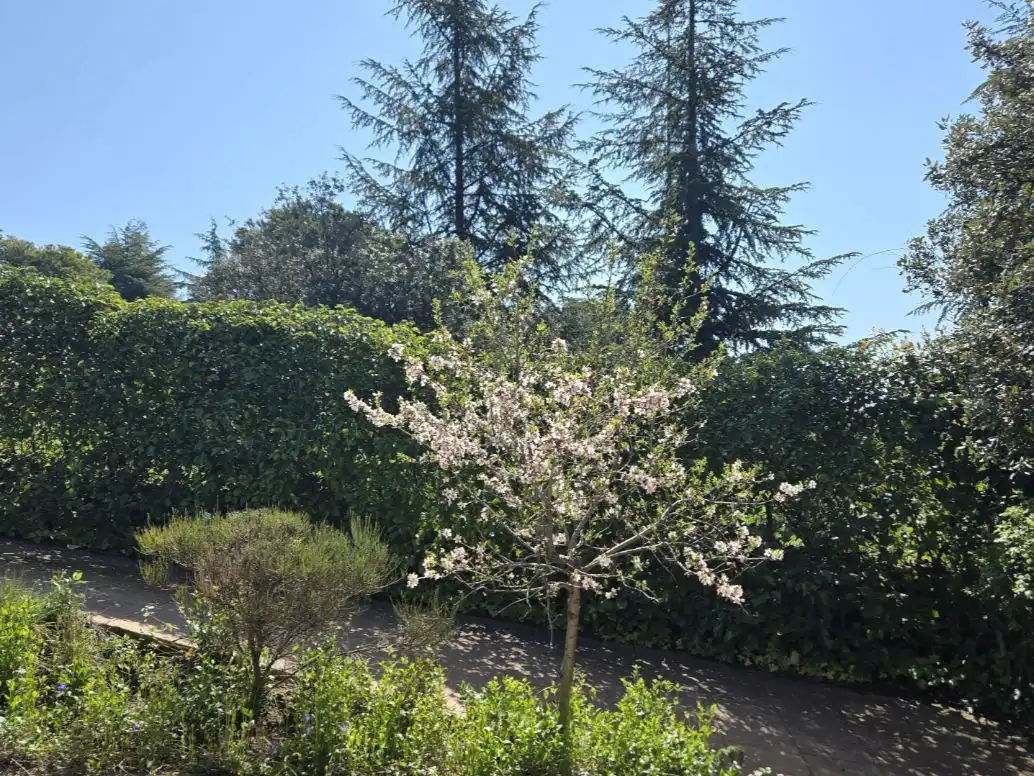 Houses for sale in Calle Coruña, 32, Pedrezuela Garden of Houses for sale in Pedrezuela with Air Conditioner, Terrace and Swimming Pool