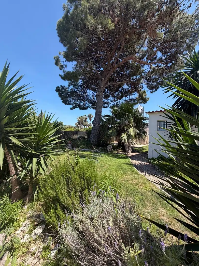 Garden of Houses for sale in Daimús  with Air Conditioner, Terrace and Balcony