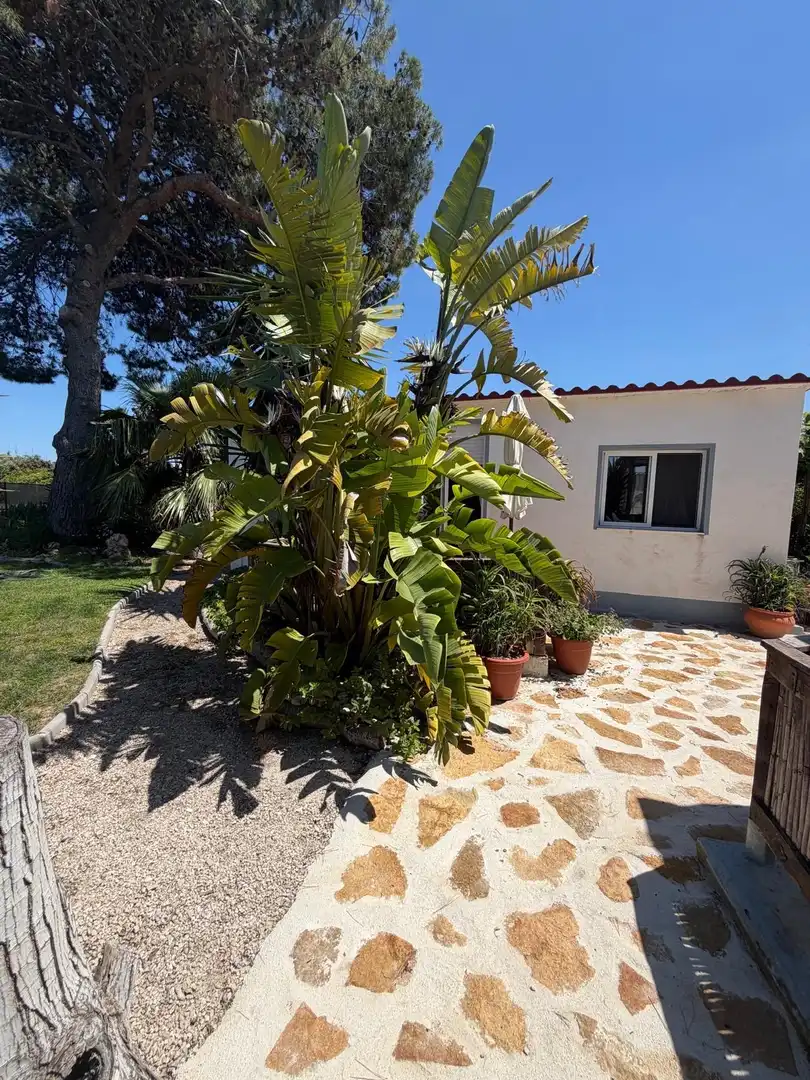 Garden of Houses for sale in Daimús  with Air Conditioner, Terrace and Balcony