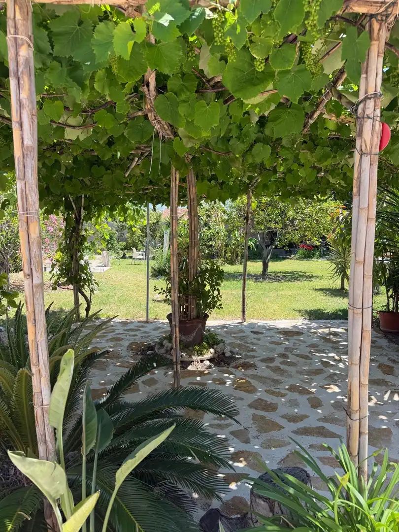 Garden of Houses for sale in Daimús  with Air Conditioner, Terrace and Balcony