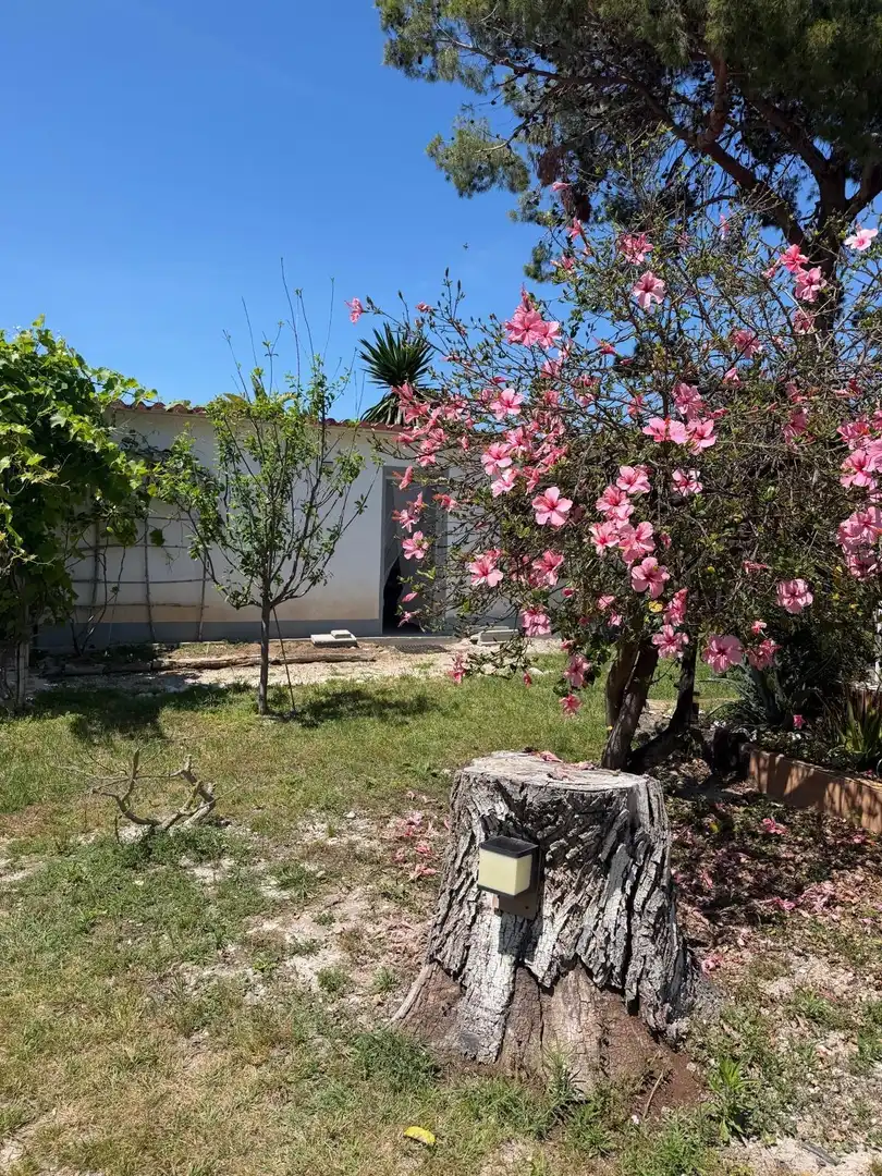 Garden of Houses for sale in Daimús  with Air Conditioner, Terrace and Balcony