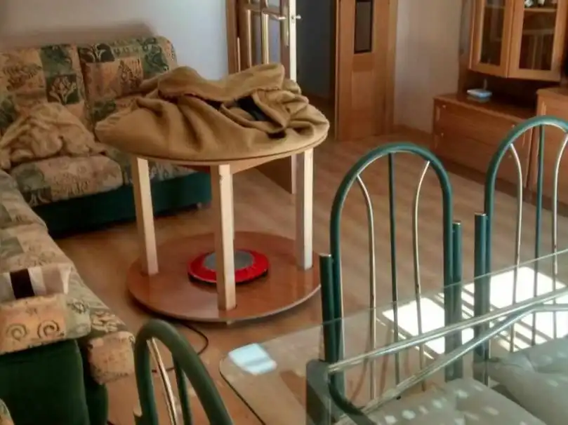 Living room of Flat for rent in Plasencia  with Heating, Parquet flooring and Furnished