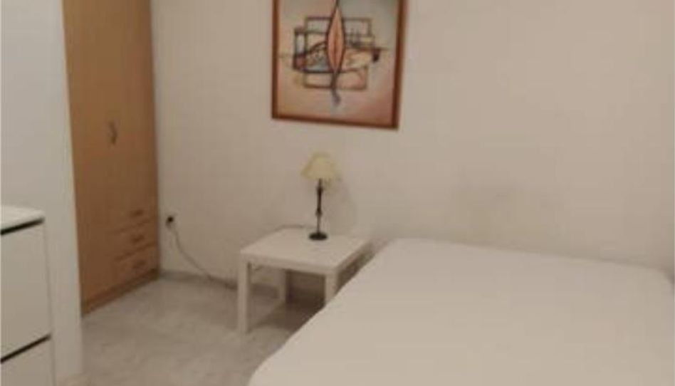 Zimmer in Monte Rozas, Las Rozas de Madrid - Bild 1 Foto 1 von Zimmer in Monte Rozas, Las Rozas de Madrid
