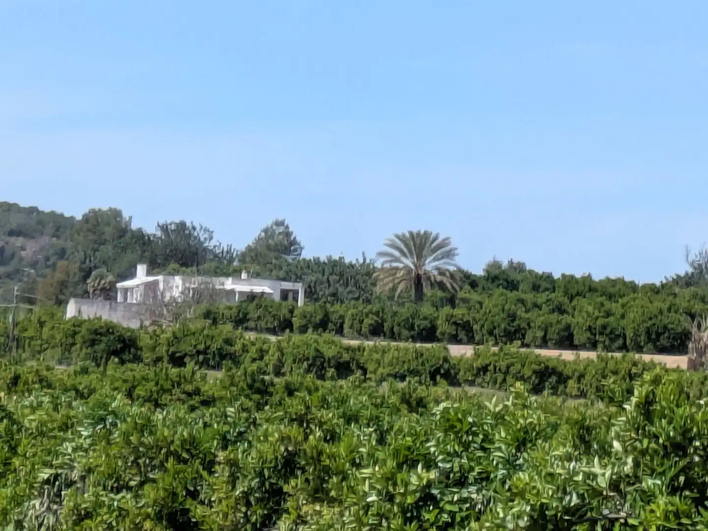 Finca rústica en venta en Polígono Políg-21 N-U5, 50, Benaguasil Finca rústica en venta en Benaguasil con Jardín privado, Terraza y Trastero