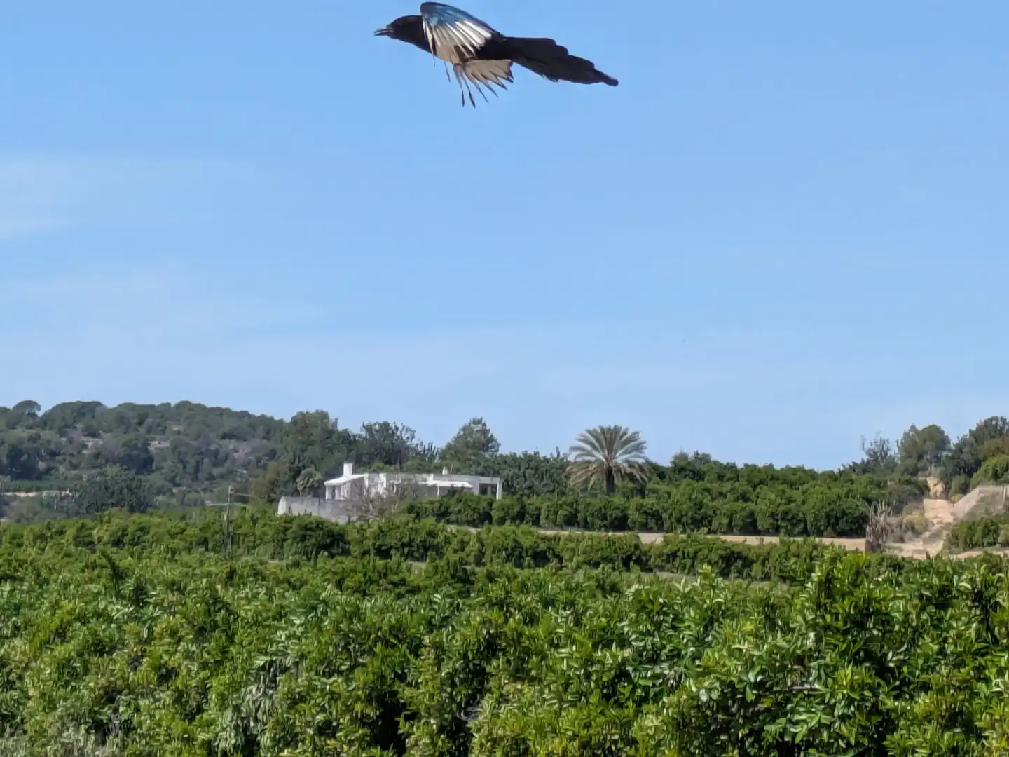 Finca rústica en venta en Polígono Políg-21 N-U5, 50, Benaguasil Finca rústica en venta en Benaguasil con Jardín privado, Terraza y Trastero