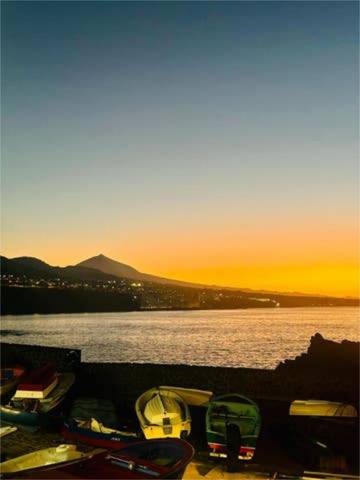 Local comercial en Alquiler en Punta del Hidalgo