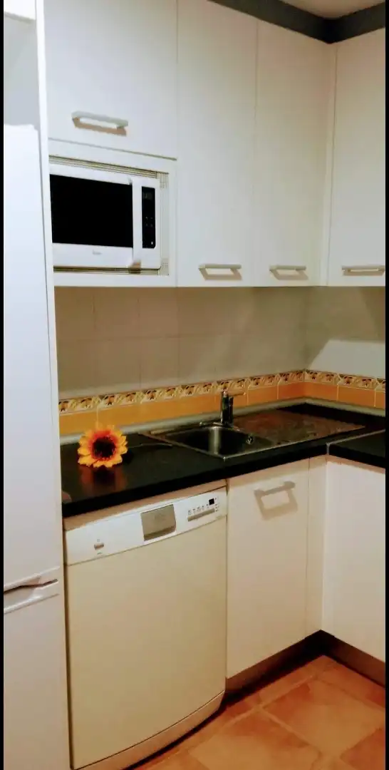 Piso de alquiler en Calle Diego de Mazariegos, 1, Nuevo Hospital Piso de alquiler en Calle Diego de Mazariegos, 1, Nuevo Hospital