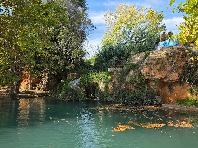 Piscina de Casa adosada en venta en Antella con Terraza