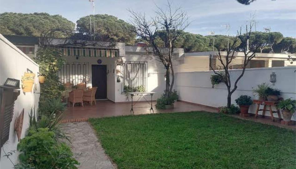 Apartament de lloguer a La Barrosa, Chiclana de la Frontera - imatge 1 Foto 1 de Apartament de lloguer a La Barrosa, Chiclana de la Frontera