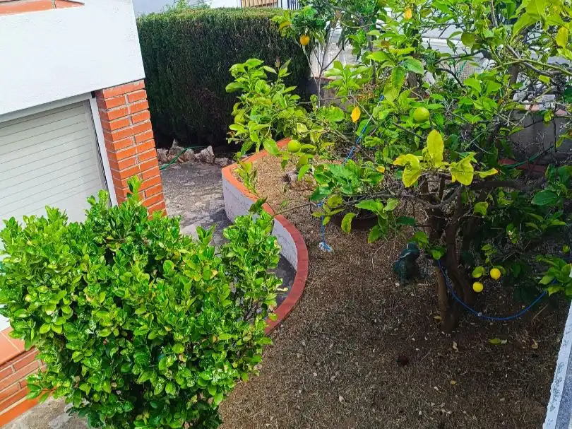Casa o xalet en venda a Carrer Malva, 2, Nou Vendrell Jardí de Casa o xalet en venda en El Vendrell amb Aire condicionat, Terrassa i Piscina