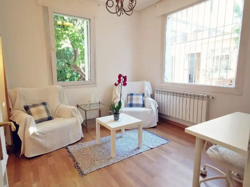 Sala d'estar de Apartament de lloguer en Madrid amb Calefacció i Moblat