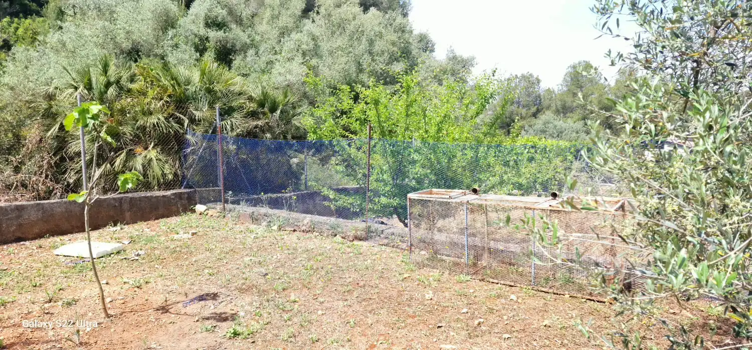 Country homes for sale in Carrer Placita de Corrals, 26a, Simat de la Valldigna Garden of Country homes for sale in Simat de la Valldigna with Terrace and Swimming Pool