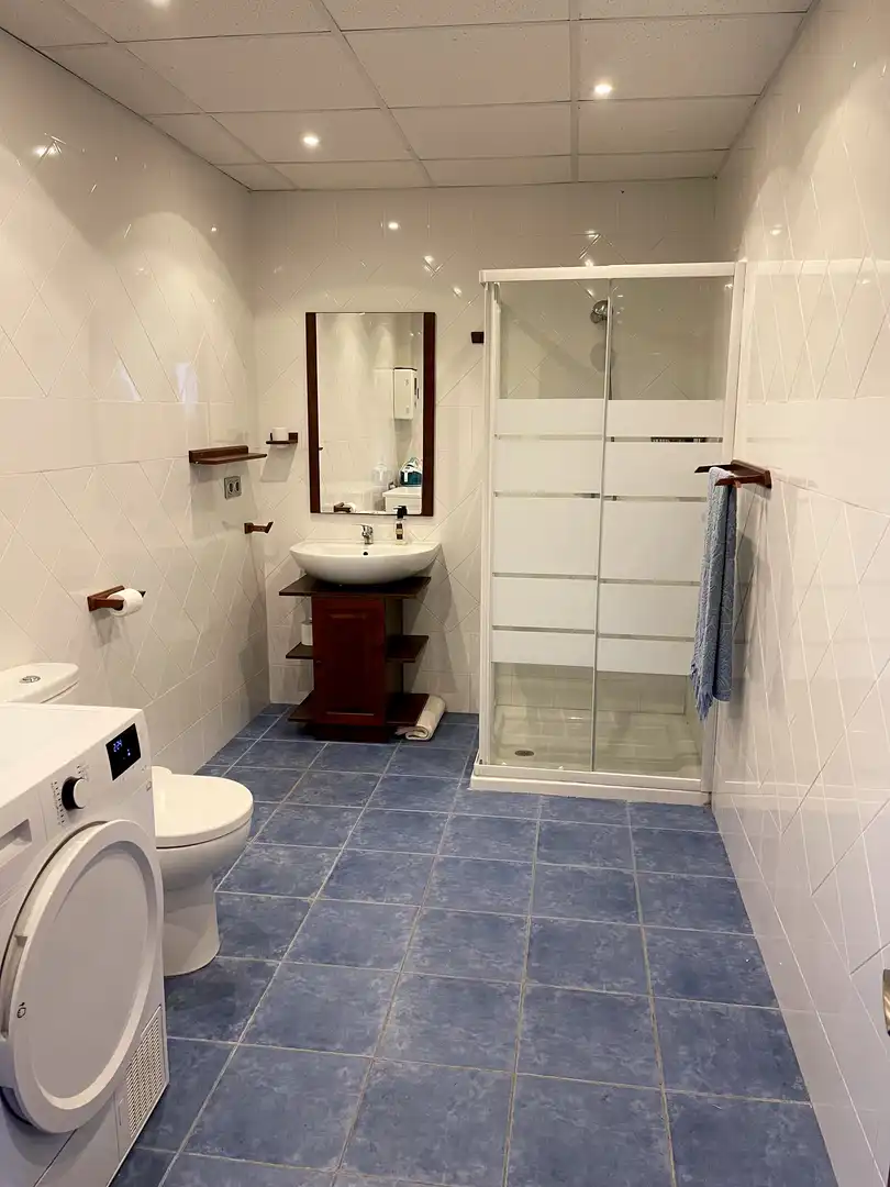Houses for sale in Camino de las Vueltas, 247, Somió - Cabueñes Bathroom of Houses for sale in Gijón with Terrace and Balcony