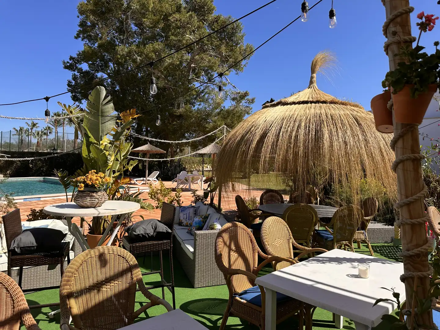Local en venda a Carrer Club Sol-Puerto, 13, Pollença Poble Local en venda en Pollença