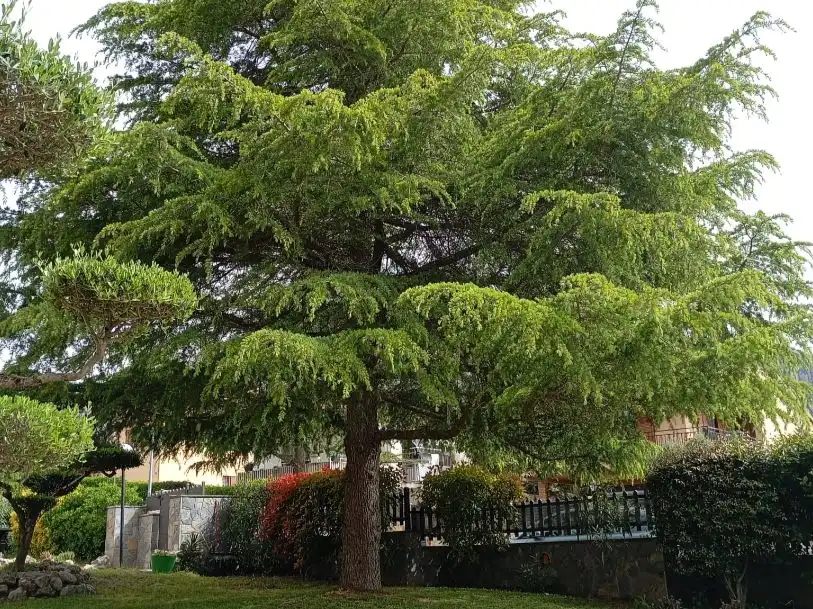 Wohnung zum Verkauf in Carrer Manresa, 19, Collbató Garten von Wohnung zum Verkauf in Collbató mit Heizung, Privatgarten und Terrasse