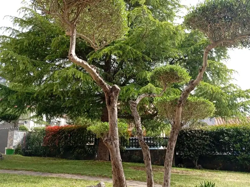 Wohnung zum Verkauf in Carrer Manresa, 19, Collbató Garten von Wohnung zum Verkauf in Collbató mit Heizung, Privatgarten und Terrasse