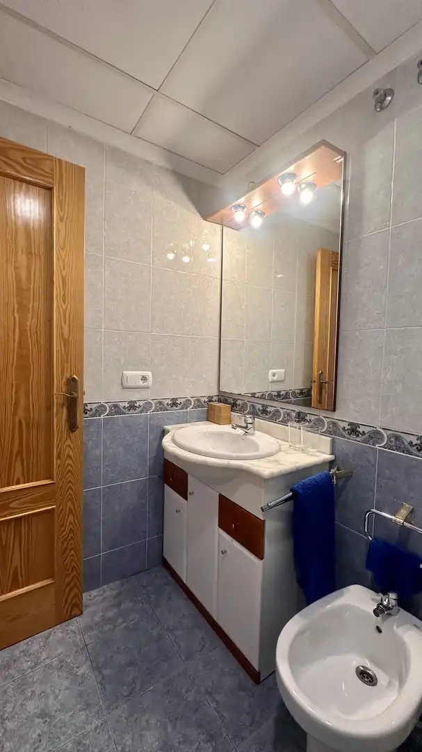 Piso de alquiler en Carrer Antonio Mora Ferrández, 45, Altabix Baño de Piso de alquiler en Elche / Elx