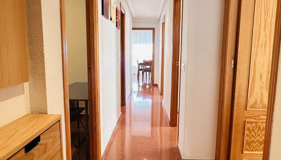 Wohnung zur Miete in Carrer Antonio Mora Ferrández, 45, Altabix, Elche / Elx - Bild 1 Foto 1 von Wohnung zur Miete in Carrer Antonio Mora Ferrández, 45, Altabix, Elche / Elx